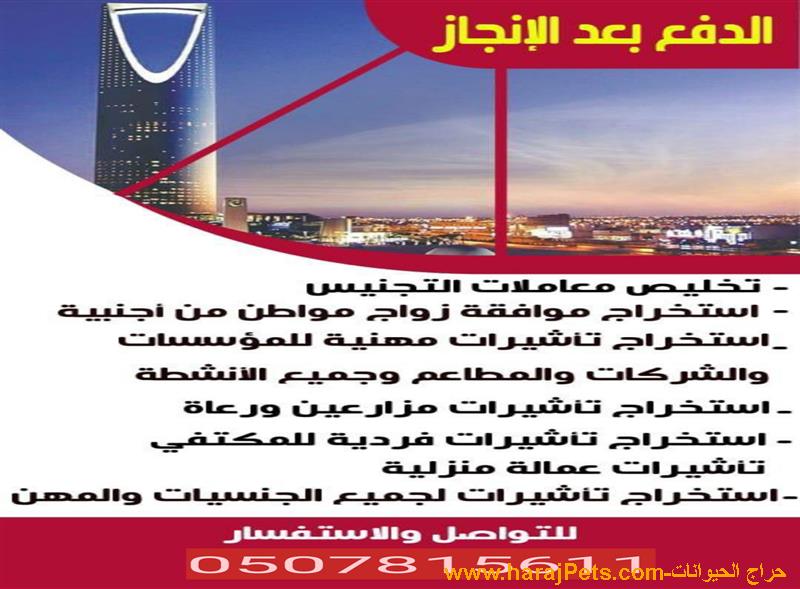 معقب استخراج تصاريح زواج وتأشيرات  الدفع بعد الانجاز  وتخليص معاملات